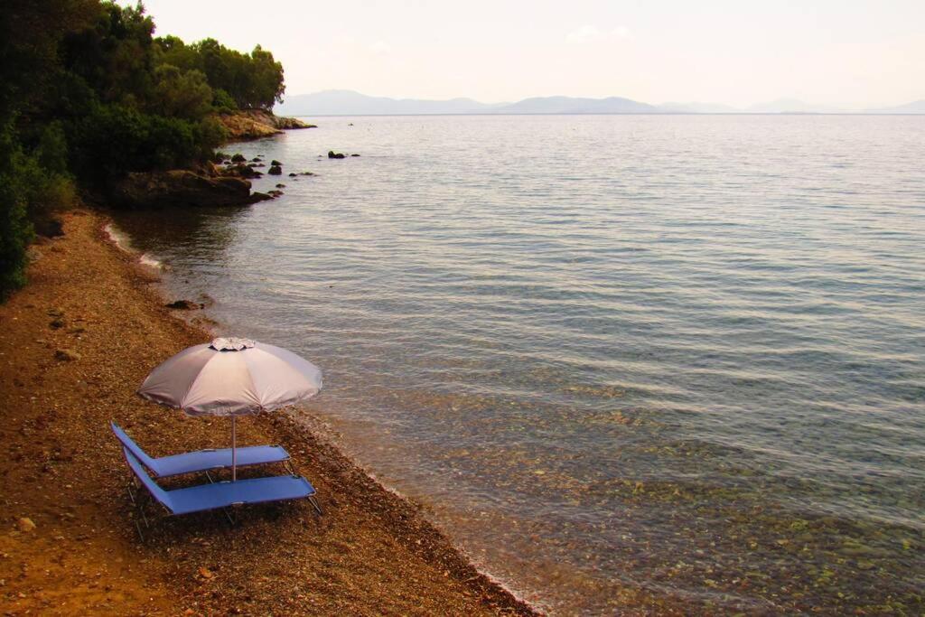 Christie'S Ground Floor Apartment By The Sea Kato Gatzea Extérieur photo
